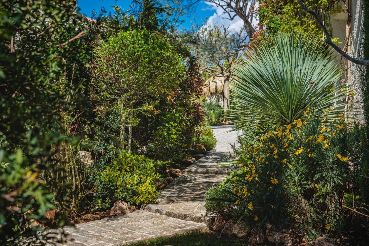 La Bastide De L'Oliveraie Ле-Кастелле Екстер'єр фото